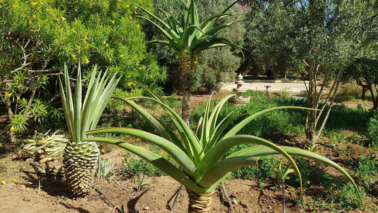 Riad-Villa Agadir-Taroudant Sidi Boumoussa Екстер'єр фото